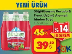 SÖĞÜTLEŞME KARADUT&FRENK ÜZÜMÜ AROMALI MADEN SUYU 6X200 ML